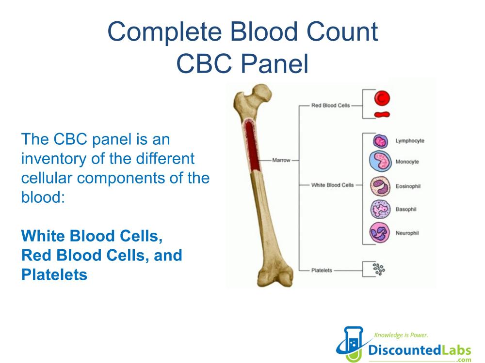 CBC blood test