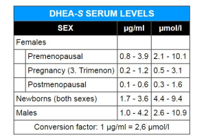 DHEA Supplement: Is It Right for You?