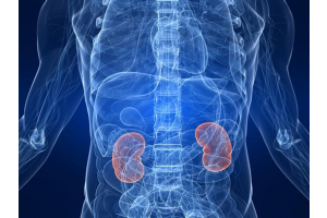 Kidney Lab Tests You Should Know for Chronic Kidney Disease