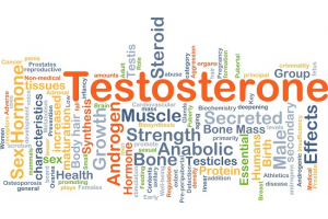 Investigating the Alarming Drop in Testosterone Levels in Young Men