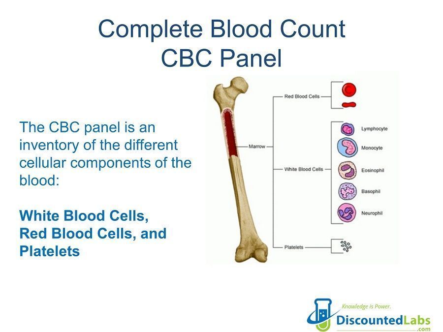 CBC with Differential- Discounted Labs