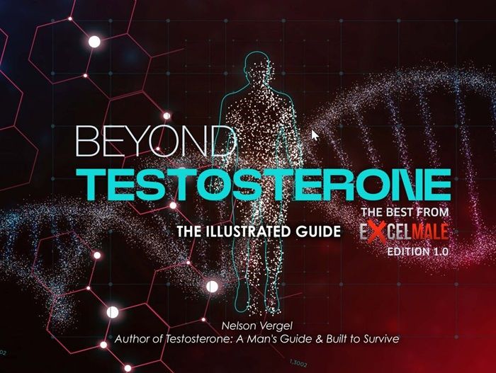 Beyond Testosterone Book by Nelson Vergel