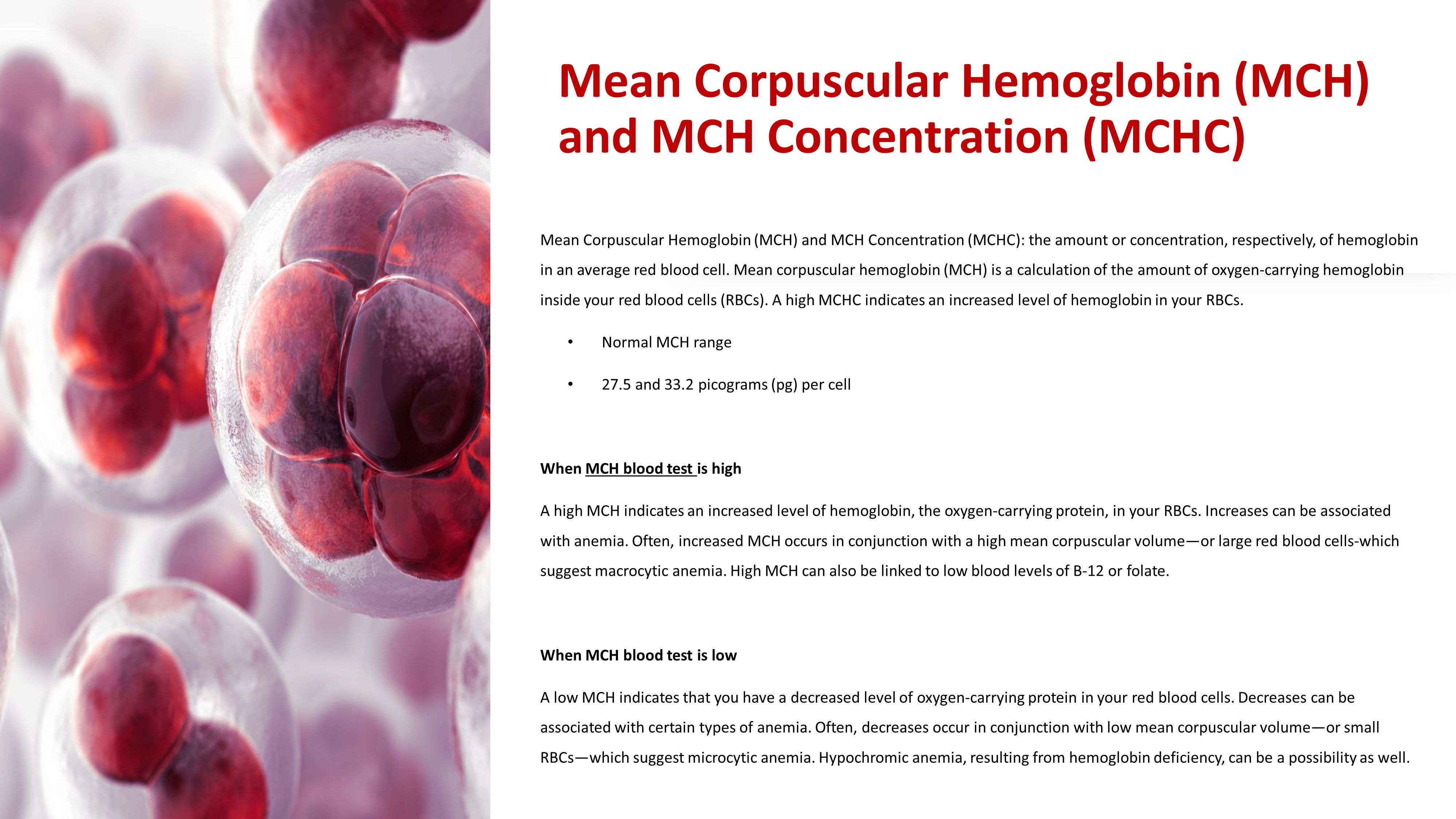 Decoding MCHC Low and High Blood Test Values: Understanding CBC Panel  Results