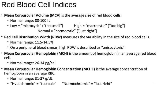 MCHC Blood Test What Is It And How To Interpret Results