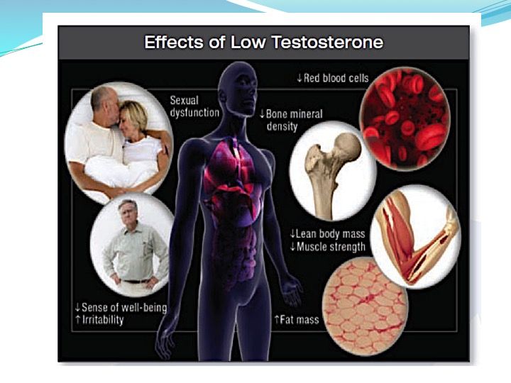 Men's Testosterone Test