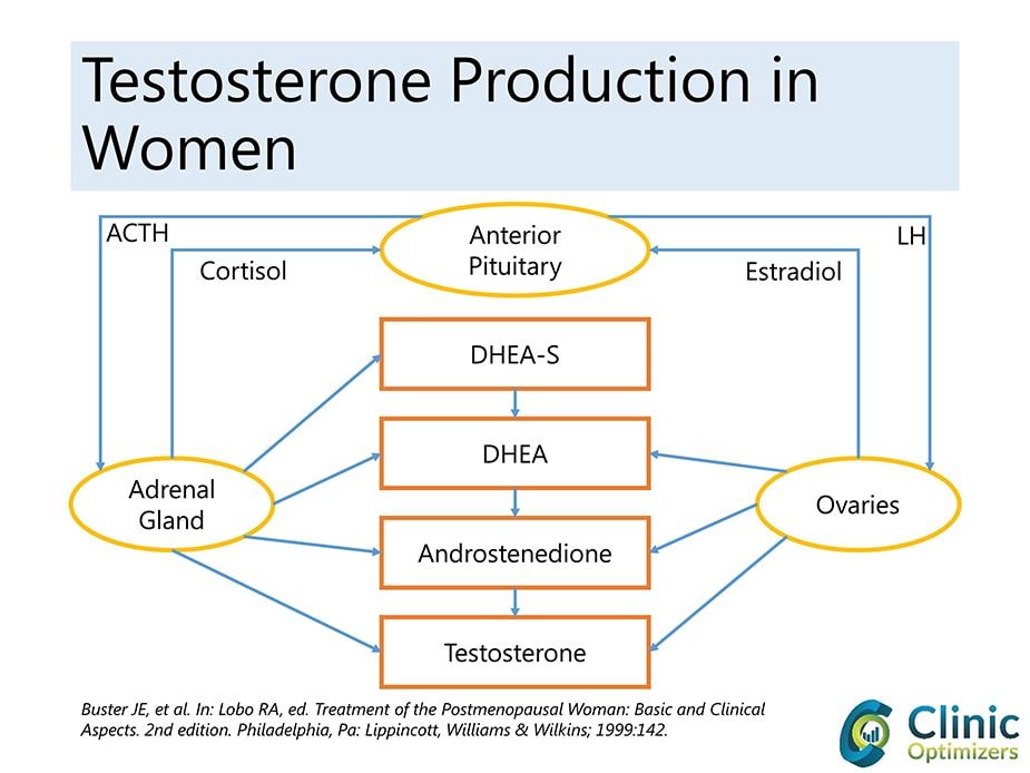 Low Testosterone In Women Treatment Options Benefits And Risks 9972