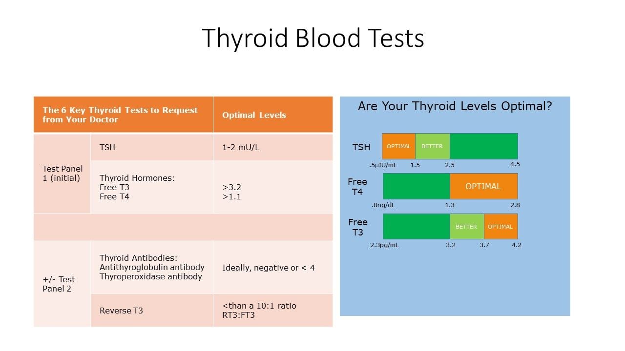 Thyroid Tests And What They Mean Thyroid Test Results Chart