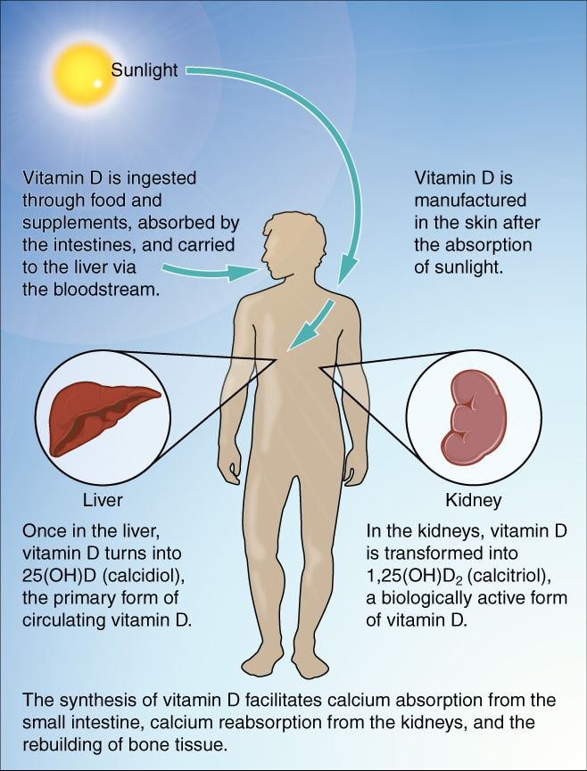 Vitamin D Test