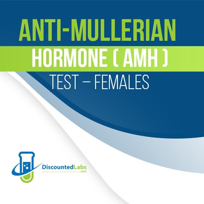 anti mullerian hormone levels