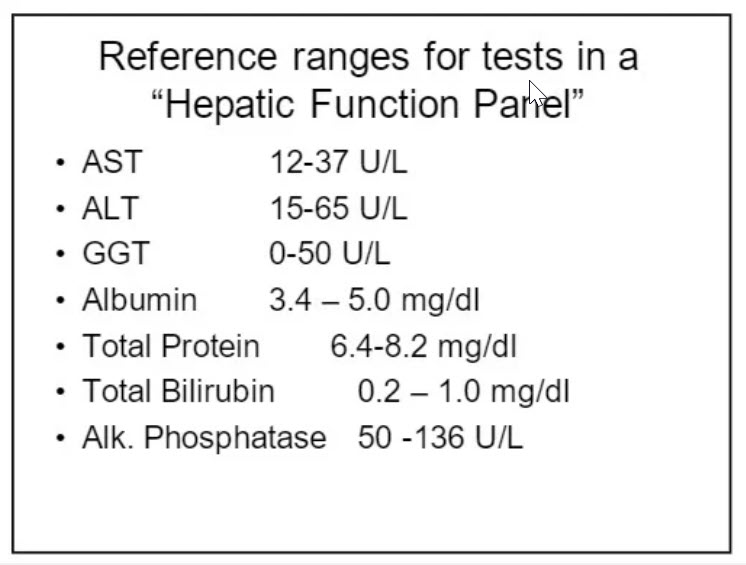 Liver Function Test Panel