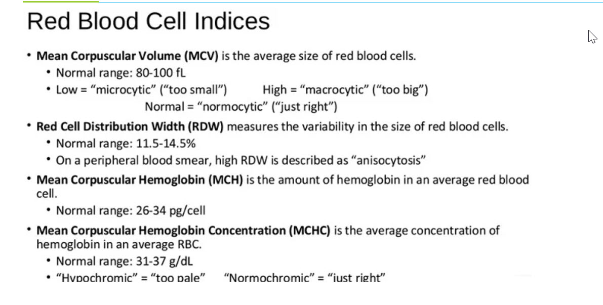 MCH Blood Test High Low Symptoms Treatments Complete 43 OFF